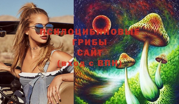 стаф Баксан