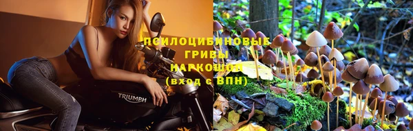 мдпв Армянск