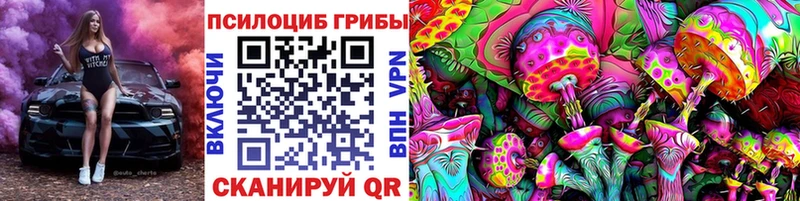 Купить где Мелеуз Галлюциногенные грибы мухоморы