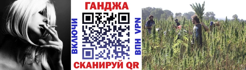 Марихуана сатива Мелеуз
